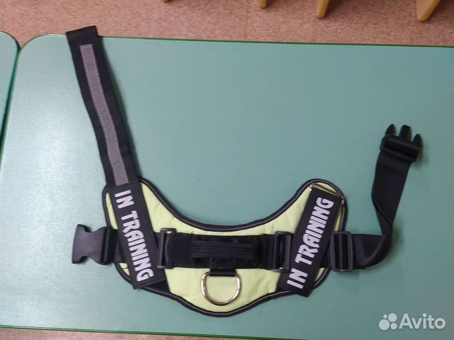 Шлейка, комбез. Миски на подставке для собаки и Пе