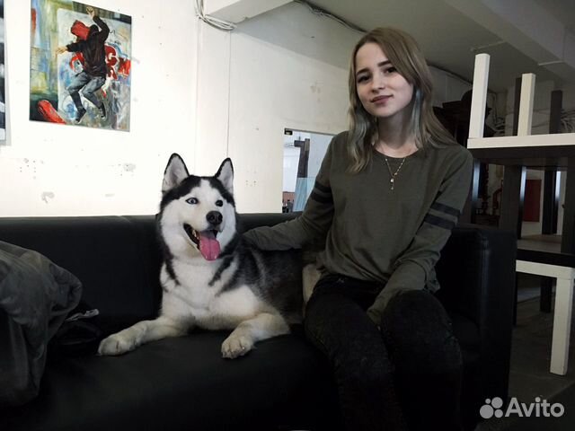 Дрессировка и воспитание собак