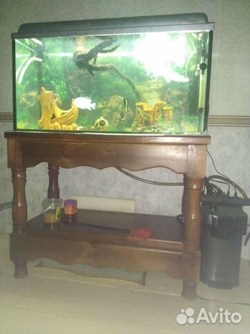 Аквариум + рыбки