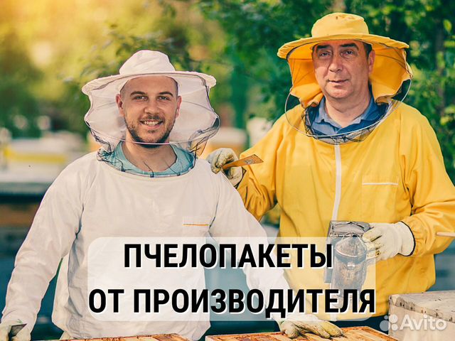 Пчелопакет Карника от производителя