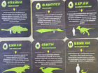 Карточки динозавров объявление продам