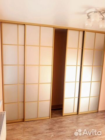 Двери купе с матовым зеркалом и делителями