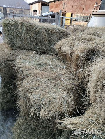 Сено в тюках