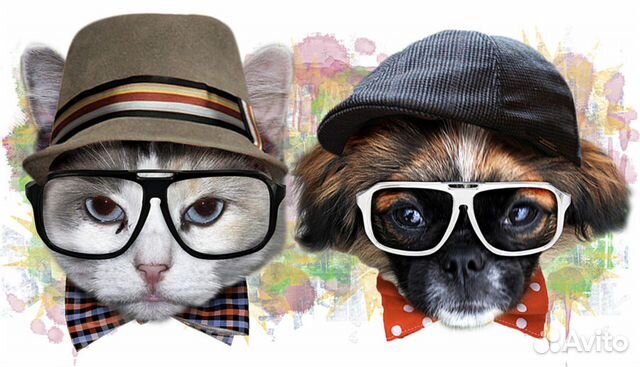 Шаблоны/макеты для печати на футболках и кружках