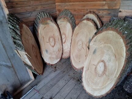 Поперечный спил дуба