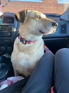 В надежде на любовь