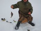 Организуем подлёдную рыбалку в Карелии, Сямозеро объявление продам