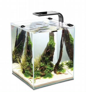 Aquael shrimp SET smart plant ll 10 чёрный