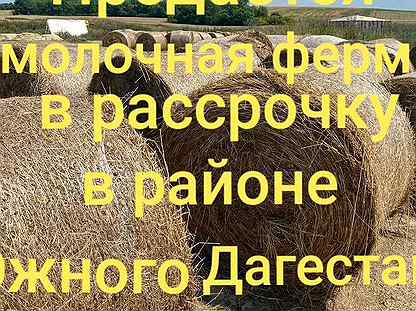Сельское хозяйство, Республика Дагестан