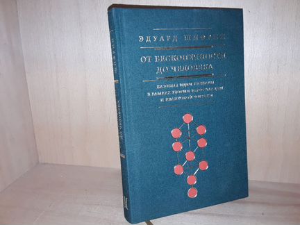 Шифрин Э.В. От бесконечности до человека