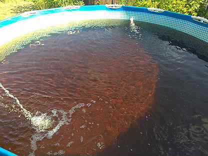 Пергидроль для бассейна. Мутная белесая вода в бассейне. Зеленая вода в бассейне. Очистить воду в бассейне. Пергидроль для бассейна до и после.