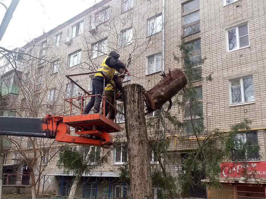 Спиливание деревьев. Спил деревьев в ростове на дону. Рубка аварийных деревьев. Прайс на спил деревьев 2022. Спил больших деревьев.
