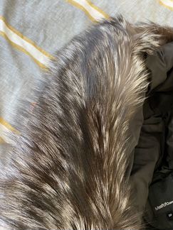 Куртка Пуховик