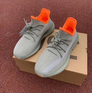 Adidas Yeezy Boost 350