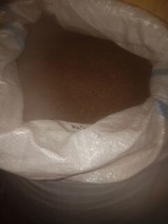 Семена фацелии