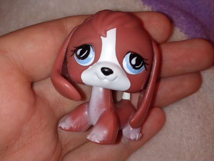 Littlest pet shop lps ооак бигль