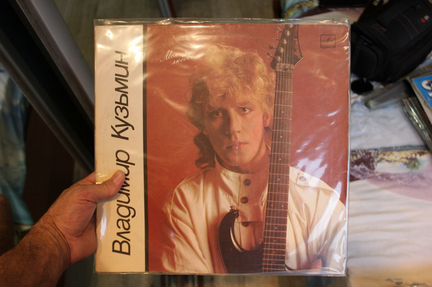 Виниловые пластинки владимир кузьмин