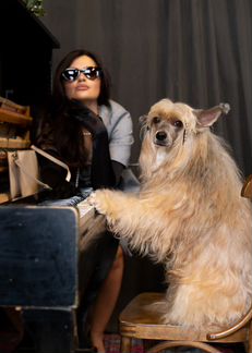 Собаки для фотосессии