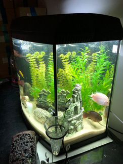 Аквариум 65 литров полный комплект