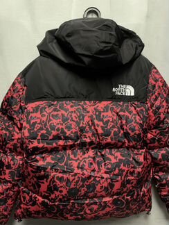 Зимний п the north face