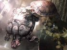 Красноухик черепахи с аквариумом