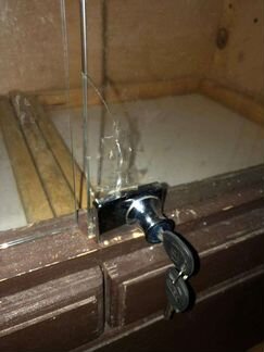 Витрина для шиншилл