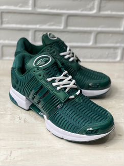 Кроссовки Adidas Climacool -03