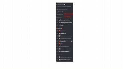 Создание и настройка Discord сервера