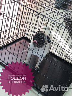 Клетка для собак и клетки для других животных