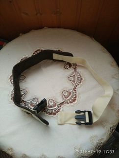 Кенгуру