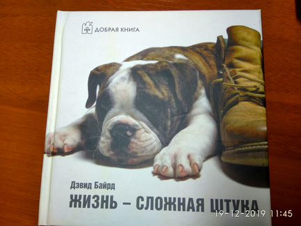 Дэвид Байрд: Жизнь - сложная штука