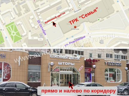 Детский самокат Мини Принт Дельфин