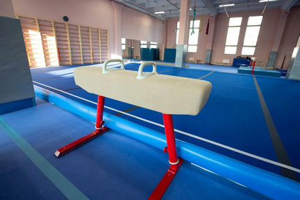 Снаряды для спортивной гимнастики профессиональные