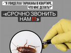 Уничтожение тараканов объявление продам