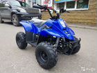 Квадроцикл Avantis ATV (2021) Cиний